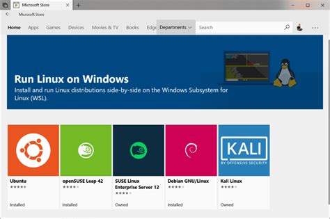 msowsl|Install Linux Subsystem on Windows Server .